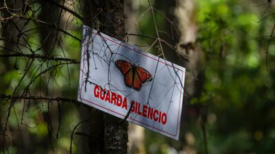 A sign reading 'Keep Silent' is seen at the Rosario Sanctuary in Michoacan state, Mexico. AFP