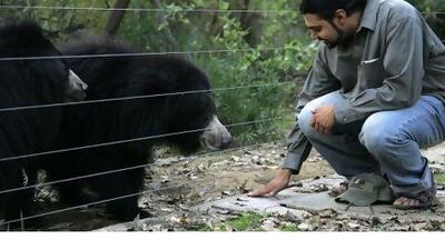 Co-founder of Wildlife SOS, Kartick Satyanarayan, with rescued bears at the Agra Bear Rescue Centre in Uttar Pradesh in 2007.