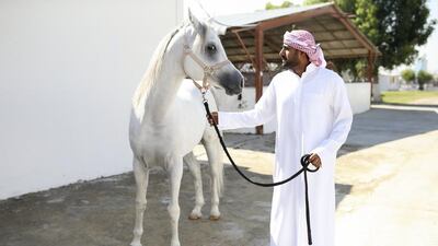Emirati Mohamed Al Kumaiti, 37, general manager of Ajman Equestrian Club, in a horse stable in Ajman. Sarah Dea / The National