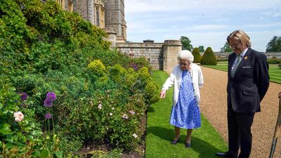 The rose has since been planted at the rose border of the East Terrace Garden at the queen's Windsor Castle home. AFP