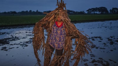 Devotees covered in mud and dried banana leaves take part in the Taong Putik ("mud people") Festival in the village of Bibiclat in Aliaga town, Nueva Ecija province, Philippines. Each year, the residents of Bibiclat village in Aliaga town celebrate the Feast of Saint John by covering themselves in mud, dried banana leaves, vines, and twigs as part of a little-known Catholic festival. Getty Images