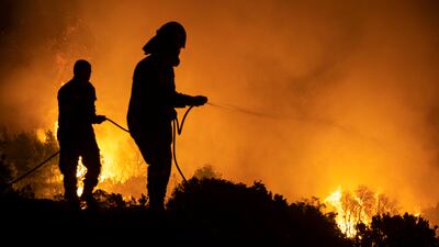 Firefighters tackle wildfires, in Evia, Greece, thought by many experts to have been fuelled by climate change. Getty Images