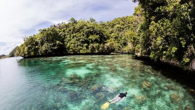 Ethan Daniels / Alamy Stock Photo