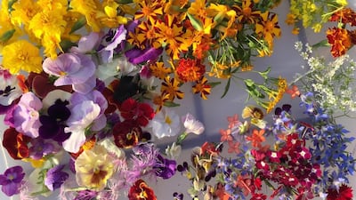 A range of edible flowers used by Carol Hyland. Courtesy Carol Hyland
