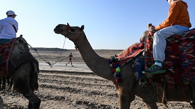 Tourists ride camels during the seventh annual Pyramids Half Marathon at the Pyramids of Giza, Egypt.