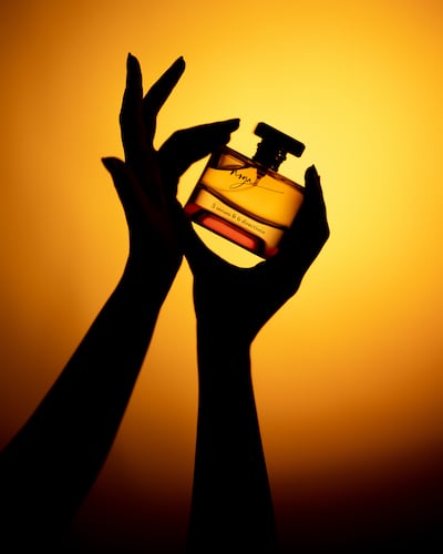 Noya 5 Senses & 6 Directions. Photo: Noya.