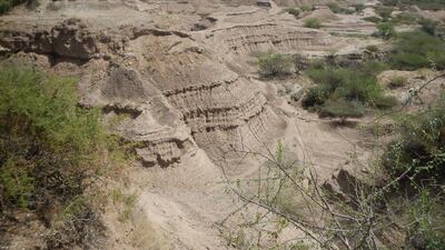 'The Omo-Kibish formation' in The Omo National Park, south-western Ethiopia. The remains of the Kibish Omo I from Ethiopia, among the oldest known fossils of Homo sapiens in eastern Africa, could be at least 36,000 years older than previously thought, according to a paper published in Nature. The minimum age is estimated to be approximately 233,000 years old, a timescale that aligns more consistently with models of modern human evolution. AFP