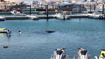 Only the top of the car's roof remained above water. Courtesy: Dubai Police