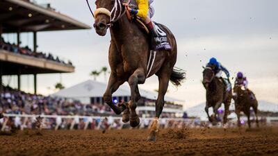 Forever Unbridled has won major races, including the Breeders' Cup last year. Alex Evers / Getty Images