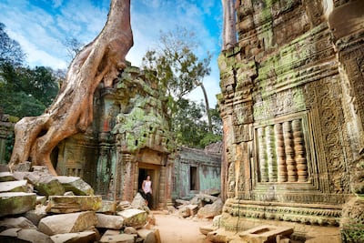 Ta Prohm Temple, Angkor, Cambodia. Jan Wlodarczyk / Alamy Stock Photo