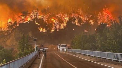 A wildfire rages across a forested area near Cavuslar village in the Karabuk district of north-west Turkey. AP