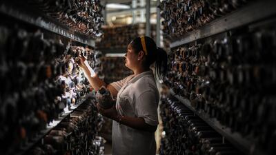 A worker inspects bottles of Grey Oyster Mushroom at a mushroom farm in Karak outside Kuala Lumpur. Mohd Rasfan / AFP Photo