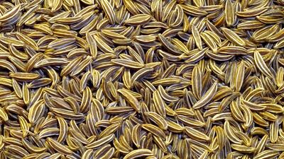 Cumin seeds.
