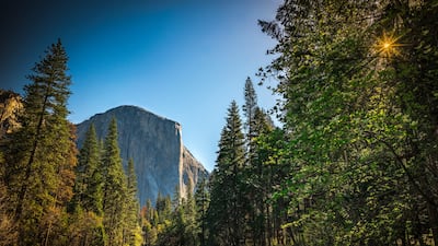California's Yosemite National Park is one of the oldest and most-photographed national parks in the US. Getty Images