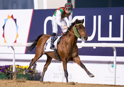 Ziyadd is a leading contender in the Dubai Kahayla Classic. Erika Rasmussen for The National