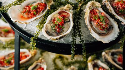 Oysters at Dream Dubai.