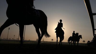 There are horses from 15 countries taking part in what is considered as the richest horse racing event in the world. Pawan Singh / The National