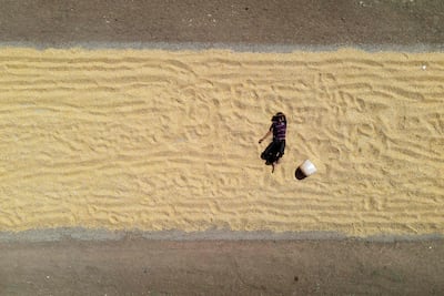 Dry land in Jindayris in Aleppo, Syria. AFP