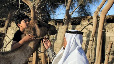 A Bedouin tribesman with a young boy and camel during Ramadan in the Jubail area of the Sinai. Yusri Mohammad