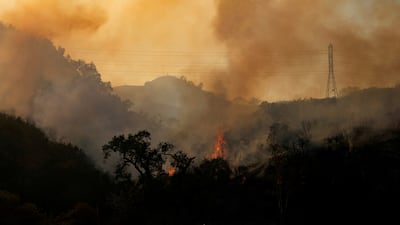 ISIS previously used wildfires in California as inspiration to incite militants to set more such fires to cause maximum economic damage. Reuters