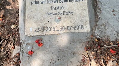 A headstone at the only known pet cemetery in Cairo. Hamza Hendawi / The National