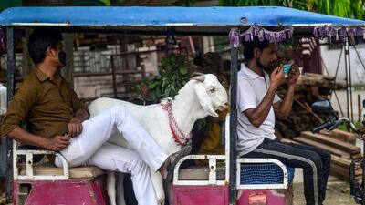A livestock vendor waits with a goat in a rickshaw in Allahabad. AFP