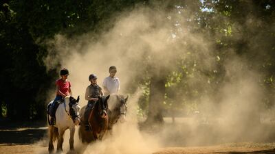 Horses from Hyde Park stables are surrounded by clouds of dust as they are ridden along a dry bridleway in the London park. Getty Images