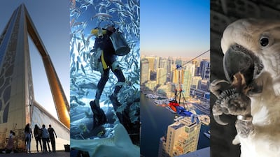 From left to right: Dubai Frame, Dubai Aquarium and Underwater Zoo, XLine Dubai, The Green Planet. EPA; Nicole Hill / The National; XLine Dubai Marina Dubai; Chris Whiteoak / The National