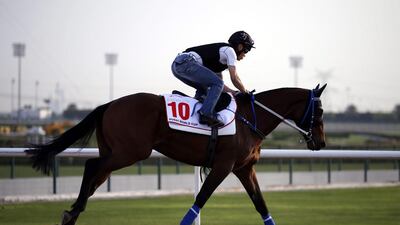 A jockey rides Gun Pit, a racehorse from Australia trained by Caspar Fownes, at the Meydan Racecourse in Dubai on March 23, 2016. Ali Haider / EPA