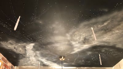 The room comes complete with an "Enchanted Ceiling".