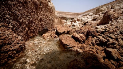 Rapidly depleting groundwater reserves are a significant problem across the Gulf. Paulo Vecina / The National