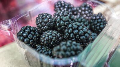 A box of fresh blackberries from UAE’s first raspberry and blackberry model farm. Victor Besa / The National