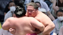 Ichi, right, headlines the field in Abu Dhabi. AFP