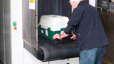 Dr Fox, the director of the festival, and his teams in the UAE and UK have been working on the project for the two years since the last event, in Britain. Courtesy Tom Bailey