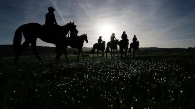 Racehorses out on a gallop on the morning of the Cheltenham festival in England. Alan Crowhurst / Getty Images