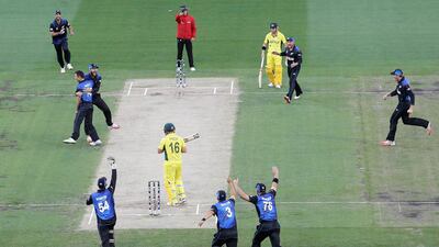 Trent Boult and Daniel Vettori of New Zealand celebrate the wicket of Aaron Finch of Australia. Getty Images