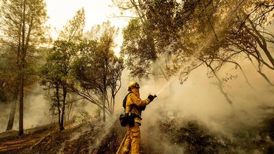 Firefighter Scott Brown sprays water on a backfire while battling the Carr Fire in Redding, California.. Noah Berger/AP Photo