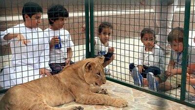 Kids have a close look the lion cub at the Kids' Park and Zoo just outside Al Shahama in Abu Dhabi. Ravindranath K / The National