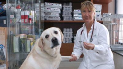 Dr Ellen Kruijning in her Dubai clinic. She recommends taking dogs for short walks before 7am during the summer.