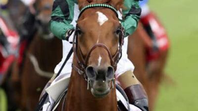 The conditions at Leopardstown for the Irish Cahampion Stakes tomorrow are expected to suit New Approach.