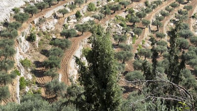 The Cremisan Valley in the West Bank, Palestine