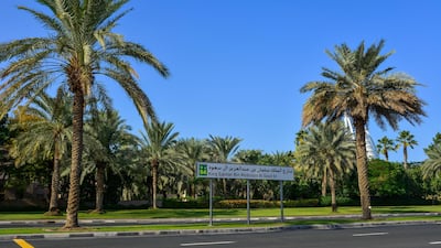 8. King Salman Bin Abdulaziz Al Saud Street with palm trees in Dubai. Alamy