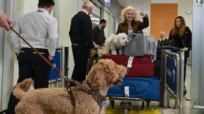 Passengers arrive at Eleftherios Venizelos Airport in Athens with their pets in tow. Getty Images