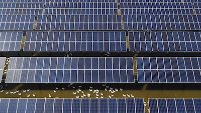 British renewable energy investor Quercus halted the construction of a 500 million euro (Dh 2 billion) solar power plant citing U.S. sanctions on Tehran Chinatopix via AP