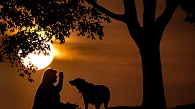 Monkeypox infections have been detected in rodents and other wild animals, but this is the first known infection in a domesticated animal. AP