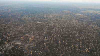 Aerial view of damage caused by wildfires in Otuquis National Park, in the Pantanal ecoregion of southeastern Bolivia, on August 26, 2019. Like his far right rival President Jair Bolsonaro in neigboring Brazil, Bolivia's leftist leader Evo Morales is facing mounting fury from environmental groups over voracious wildfires in his own country. While the Amazon blazes have attracted worldwide attention, the blazes in Bolivia have raged largely unchecked over the past month, devastating more than 9,500 square kilometers (3,600 square miles) of forest and grassland. / AFP / Pablo COZZAGLIO