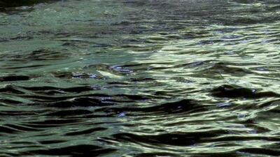 Buy one entry ticket and get two free at Dubai’s Aquaventure Waterpark. Razan Alzayani / The National