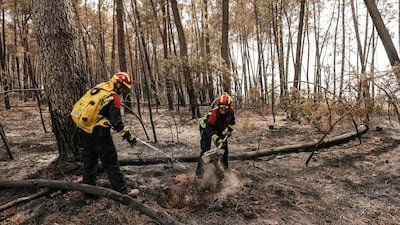 German firefighters spray water to put out lingering hot spots left by the wildfire near Belin-Belitet, south-western France. AFP