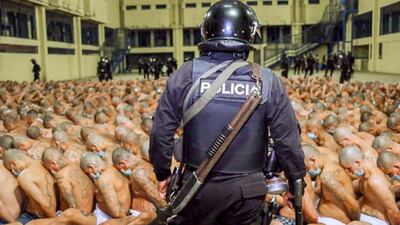 Gang members are secured during a police operation at Izalco jail during a 24-hour lockdown ordered by El Salvador's President Nayib Bukele in Izalco, El Salvador. Reuters