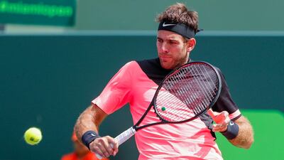 Juan Martin del Potro is in the quarter-finals of the Miami Open. Erik S Lesser / EPA